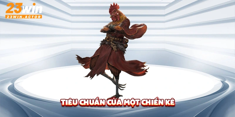 Tiêu chuẩn của một chiến kê